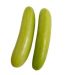 Cucumber-Baby, white ( बालम सफेद ककड़ी )