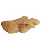 Ginger ( अदरक / आले )